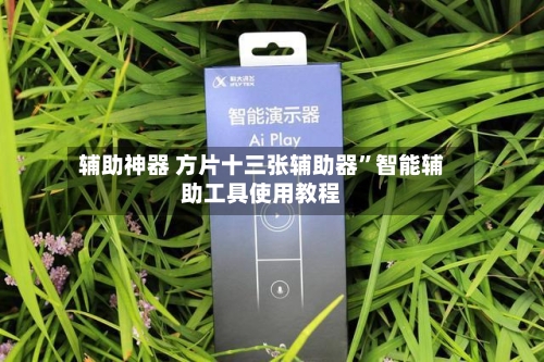 辅助神器 方片十三张辅助器”智能辅助工具使用教程-第2张图片
