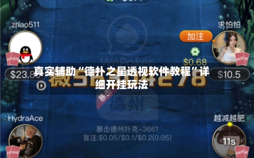 真实辅助“德扑之星透视软件教程”详细开挂玩法-第3张图片