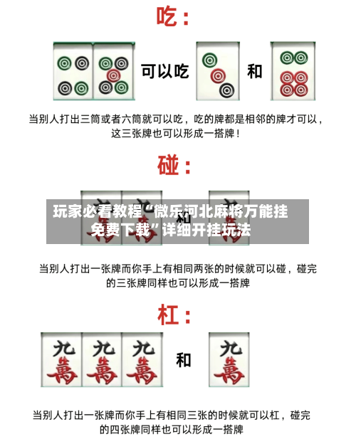 玩家必看教程“微乐河北麻将万能挂免费下载”详细开挂玩法