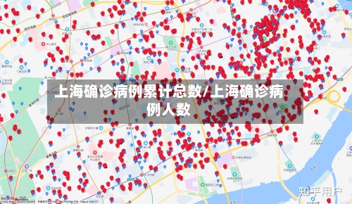 上海确诊病例累计总数/上海确诊病例人数