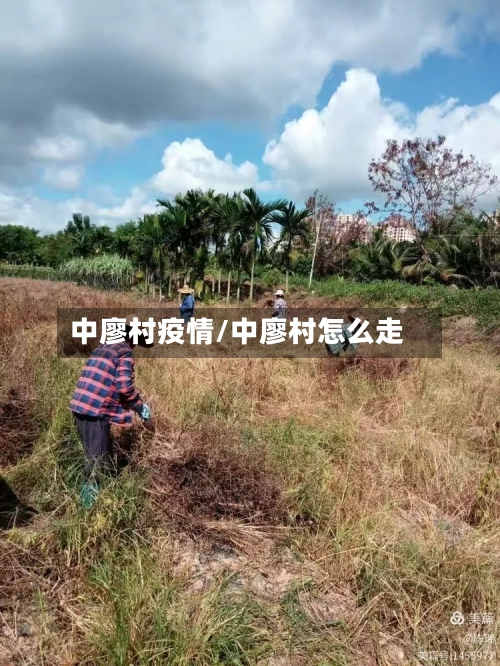 中廖村疫情/中廖村怎么走-第2张图片