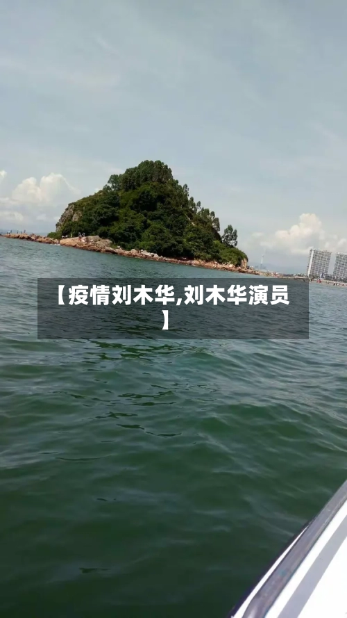 【疫情刘木华,刘木华演员】-第2张图片