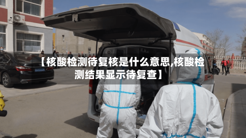 【核酸检测待复核是什么意思,核酸检测结果显示待复查】-第2张图片