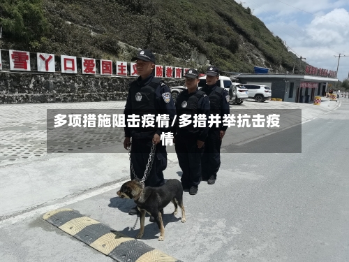多项措施阻击疫情/多措并举抗击疫情-第2张图片
