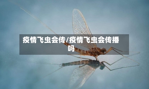 疫情飞虫会传/疫情飞虫会传播吗-第3张图片