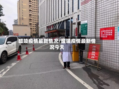 醴陵疫情最新情况/醴陵疫情最新情况今天-第2张图片