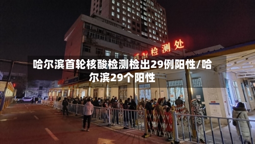 哈尔滨首轮核酸检测检出29例阳性/哈尔滨29个阳性-第2张图片