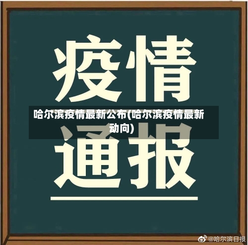 哈尔滨疫情最新公布(哈尔滨疫情最新动向)-第2张图片