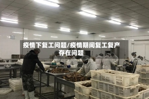 疫情下复工问题/疫情期间复工复产存在问题-第2张图片