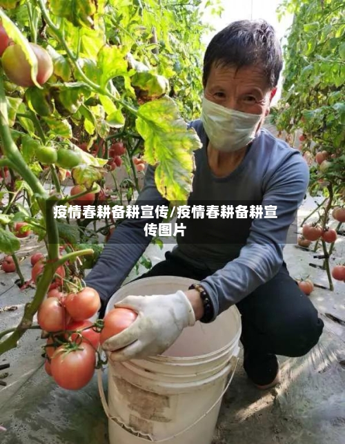 疫情春耕备耕宣传/疫情春耕备耕宣传图片-第2张图片