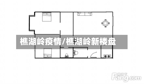 樵湖岭疫情/樵湖岭新楼盘-第3张图片