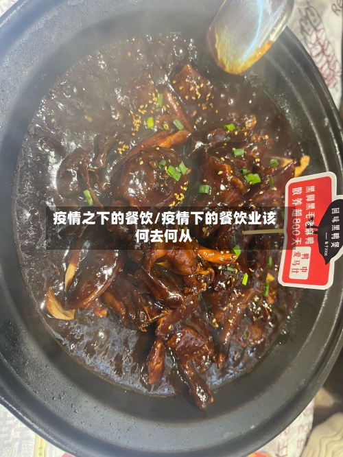 疫情之下的餐饮/疫情下的餐饮业该何去何从-第2张图片