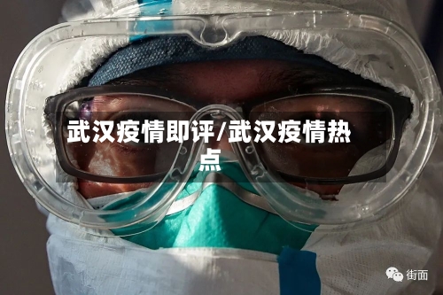 武汉疫情即评/武汉疫情热点-第3张图片