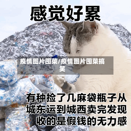 疫情图片囤菜/疫情图片囤菜搞笑
