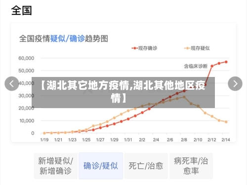【湖北其它地方疫情,湖北其他地区疫情】