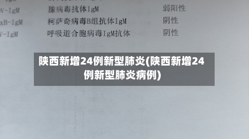 陕西新增24例新型肺炎(陕西新增24例新型肺炎病例)-第2张图片