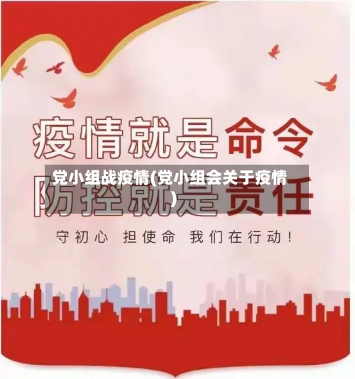 党小组战疫情(党小组会关于疫情)