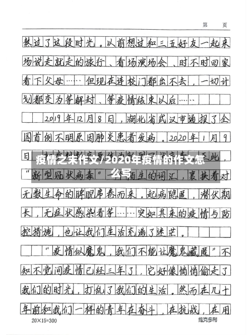 疫情之末作文/2020年疫情的作文怎么写-第2张图片