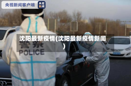 沈阳最新疫情(沈阳最新疫情新闻)
