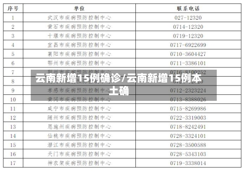 云南新增15例确诊/云南新增15例本土确