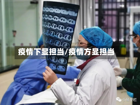 疫情下显担当/疫情方显担当