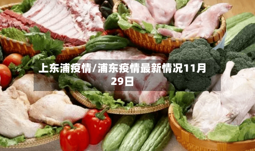 上东浦疫情/浦东疫情最新情况11月29日-第3张图片