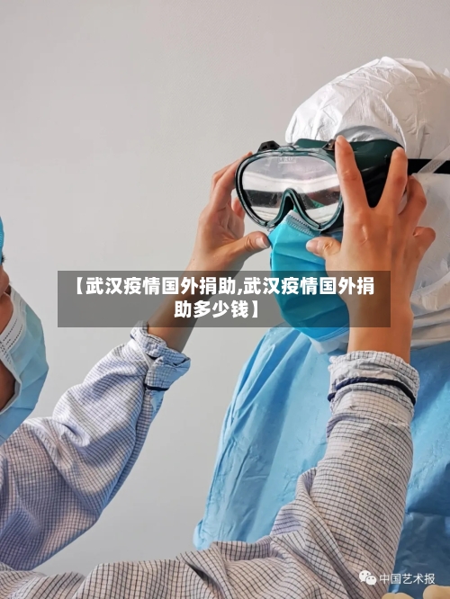 【武汉疫情国外捐助,武汉疫情国外捐助多少钱】-第3张图片
