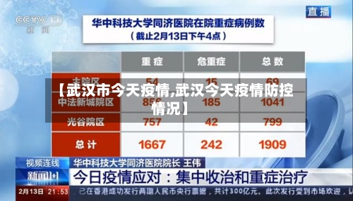 【武汉市今天疫情,武汉今天疫情防控情况】-第3张图片