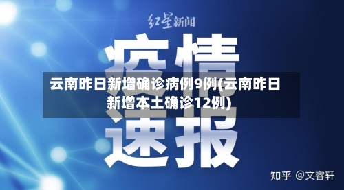 云南昨日新增确诊病例9例(云南昨日新增本土确诊12例)-第2张图片