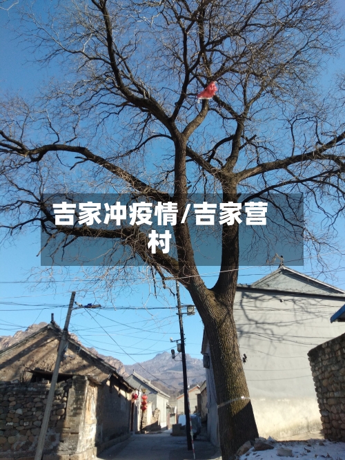 吉家冲疫情/吉家营村