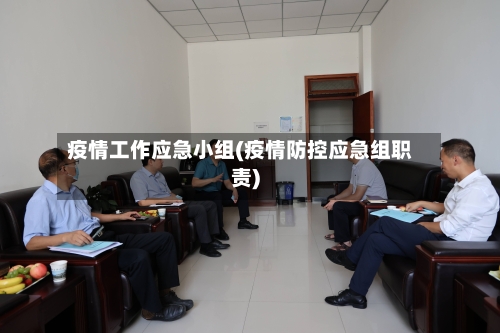 疫情工作应急小组(疫情防控应急组职责)-第2张图片