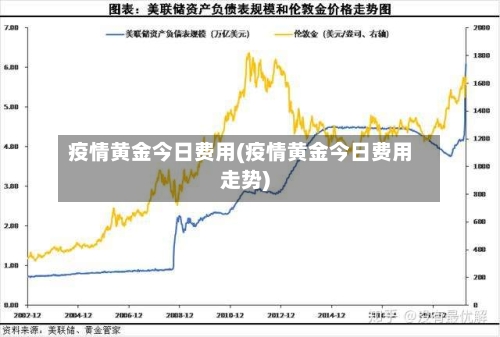 疫情黄金今日费用(疫情黄金今日费用走势)