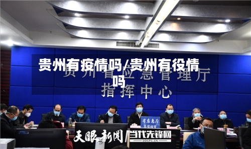 贵州有疫情吗/贵州有役情吗-第3张图片