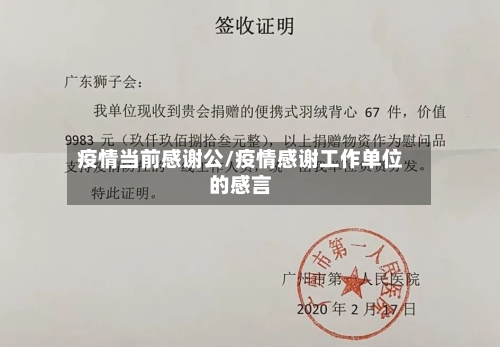 疫情当前感谢公/疫情感谢工作单位的感言-第3张图片