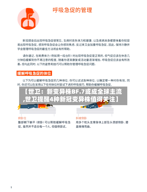 【世卫:新变异株BF.7或成全球主流,世卫提醒4种新冠变异株值得关注】-第2张图片