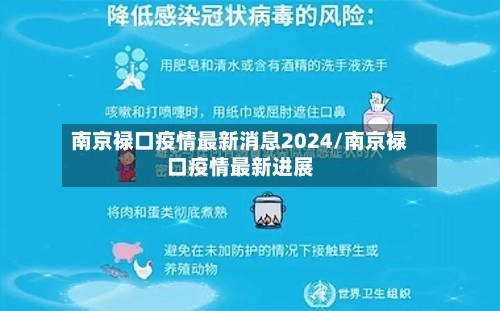 南京禄口疫情最新消息2024/南京禄口疫情最新进展-第2张图片