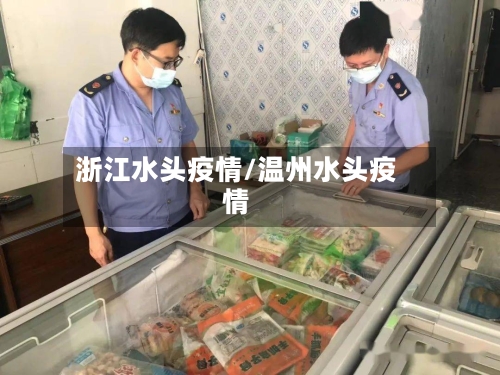 浙江水头疫情/温州水头疫情