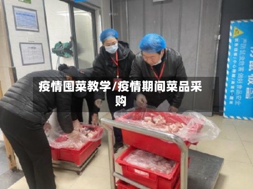 疫情囤菜教学/疫情期间菜品采购-第2张图片