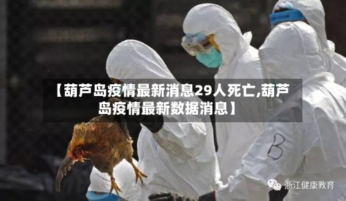 【葫芦岛疫情最新消息29人死亡,葫芦岛疫情最新数据消息】-第3张图片