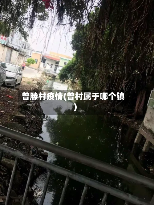 曾滕村疫情(曾村属于哪个镇)-第2张图片