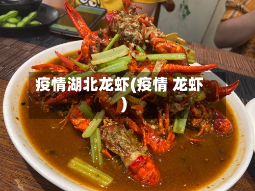 疫情湖北龙虾(疫情 龙虾)-第2张图片