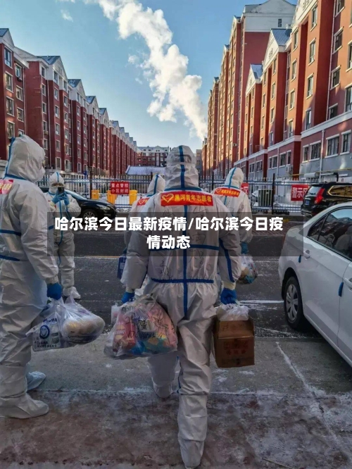 哈尔滨今日最新疫情/哈尔滨今日疫情动态