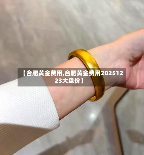 【合肥黄金费用,合肥黄金费用20251223大盘价】