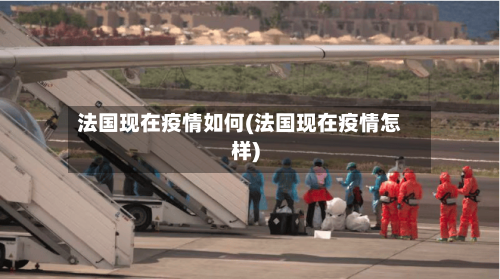 法国现在疫情如何(法国现在疫情怎样)-第2张图片