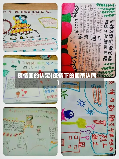 疫情国的认定(疫情下的国家认同)