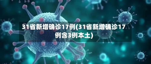 31省新增确诊17例(31省新增确诊17例含3例本土)-第2张图片