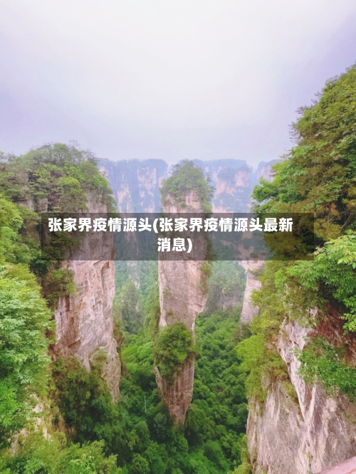 张家界疫情源头(张家界疫情源头最新消息)-第2张图片
