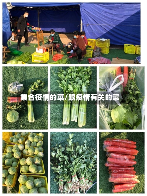 集合疫情的菜/跟疫情有关的菜-第2张图片