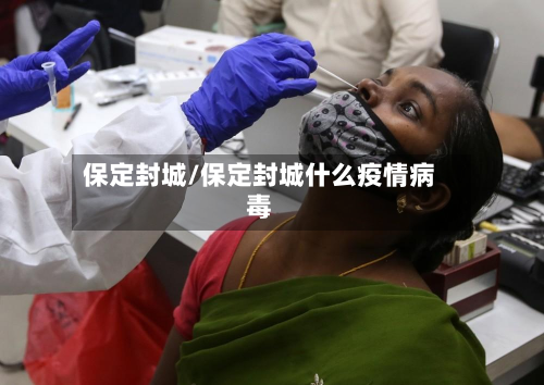 保定封城/保定封城什么疫情病毒-第2张图片