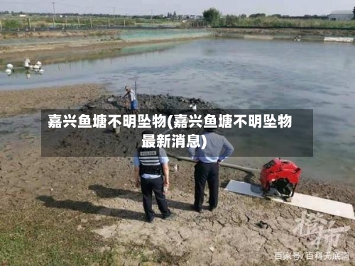 嘉兴鱼塘不明坠物(嘉兴鱼塘不明坠物最新消息)